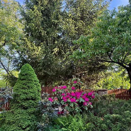 Beautiful House By The River With Its Own Dock *