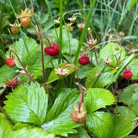 Beautiful House By The River With Its Own Dock Vakantiehuis