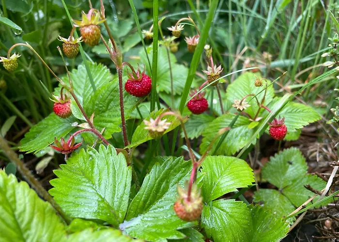 Beautiful House By The River With Its Own Dock بيت للعطل